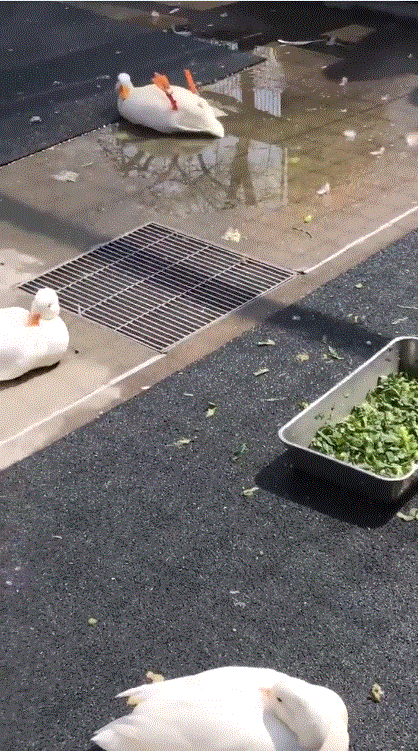 圖片2 圖片2