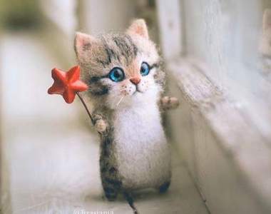 俄羅斯藝術家手做《可愛貓咪羊毛氈》那水汪汪的大眼不覺得看了超心動的嗎