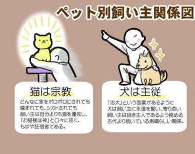 《寵物與飼主間的關係》一張圖看出各種寵物與飼主間完全不同的關係構造