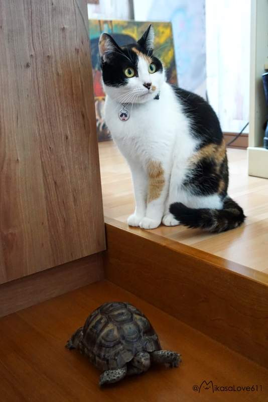 圖片2 圖片2