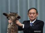 日本新年號《令和》發表惡搞圖續出 政府宣布正式進入貓的時代(誤) 日本新年號《令和》發表惡搞圖續出 政府宣布正式進入貓的時代(誤)