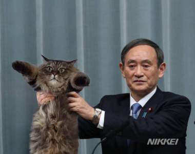 日本新年號《令和》發表惡搞圖續出　政府宣布正式進入貓的時代（誤）