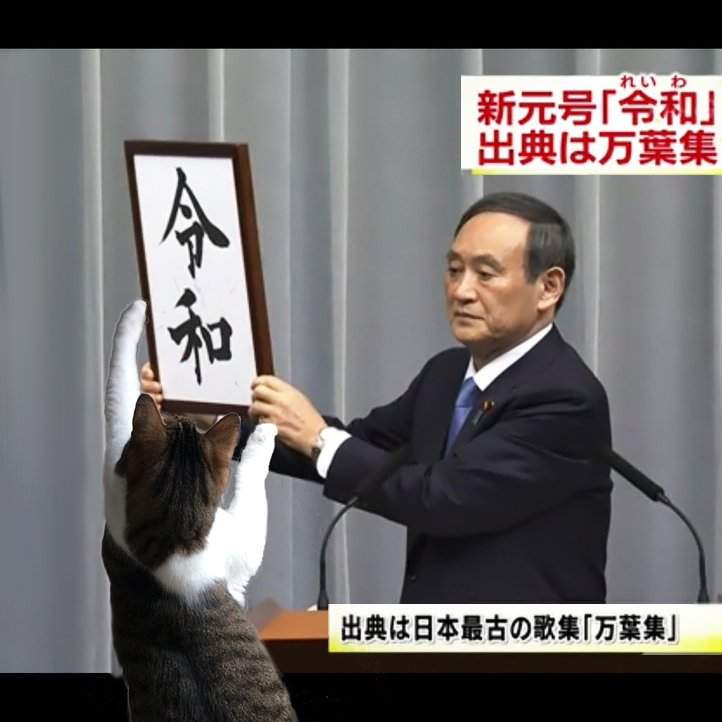 日本新年號 令和 發表惡搞圖續出政府宣布正式進入貓的時代 誤