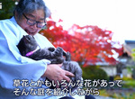 《貓奴聖地梅宮大社》渴望捕捉喵星人與紅葉之美 但是模特兒隨心所欲超困難…… 《貓奴聖地梅宮大社》渴望捕捉喵星人與紅葉之美 但是模特兒隨心所欲超困難……