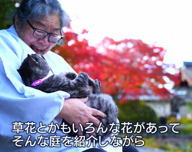 《貓奴聖地梅宮大社》渴望捕捉喵星人與紅葉之美 但是模特兒隨心所欲超困難……