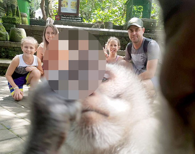 《猴子自拍照比中指》這證明了人果然是猴子進化來的（並沒有）