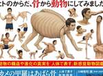《用人體表現的動物圖鑑》如果人類跟動物骨骼構造一樣,這些動物就會長這樣... 《用人體表現的動物圖鑑》如果人類跟動物骨骼構造一樣,這些動物就會長這樣...