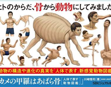 《用人體表現的動物圖鑑》如果人類跟動物骨骼構造一樣，這些動物就會長這樣...