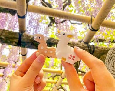 虧雞可愛的《小鹿御神籤》來春日大社求個幸運也不忘帶走的紀念品