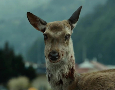 可能會傳染給人?《喪屍鹿病Zombie deer》致命疾病正在北美蔓延,完了完了要變殭屍了…