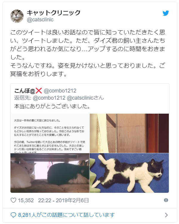 《传信猫》经常来访的陌生猫咪,项圈上的纸条意外牵起饲主间的缘分... - 图片7 《传信猫》经常来访的陌生猫咪,项圈上的纸条意外牵起饲主间的缘分...