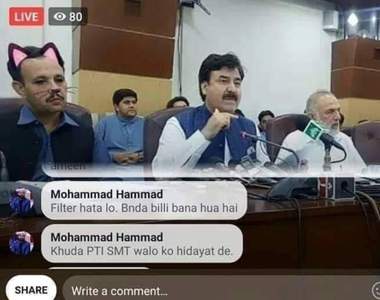 直播忘了關濾鏡把嚴肅新聞變成《萌貓發佈會》史上最萌放送事故就此誕生♥