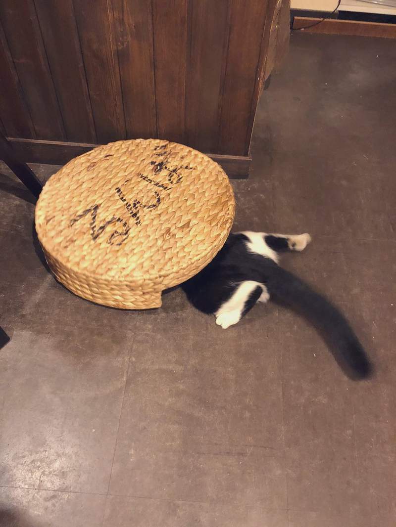 圖片2 圖片2