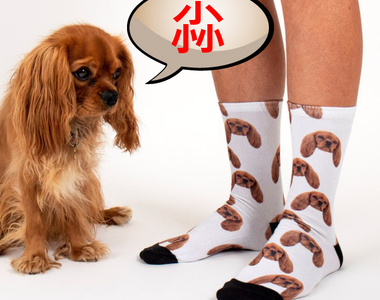 自戀的你絕對會喜歡的《印滿自己帥臉的襪子》其實我每天早上都會被我自己給帥醒