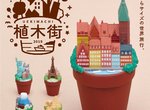 熊貓之穴《盆栽上的風景》親愛的我種出了一座金字塔(咦?) 熊貓之穴《盆栽上的風景》親愛的我種出了一座金字塔(咦?)