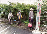 滋賀縣奇景《新田車站旁的稻草人村》不要說晚上光白天都快被嚇死惹 滋賀縣奇景《新田車站旁的稻草人村》不要說晚上光白天都快被嚇死惹
