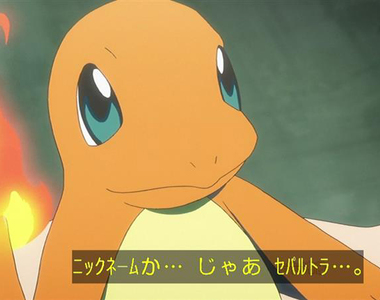 《小火龍之謎》尾巴的火熄滅就會死？人生活在困難模式的寶可夢……