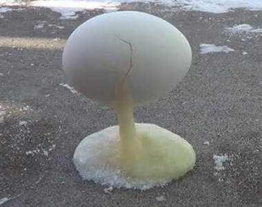 《零下三十度的雞蛋》端午節還沒到在這裡已經先玩立蛋惹(大誤)