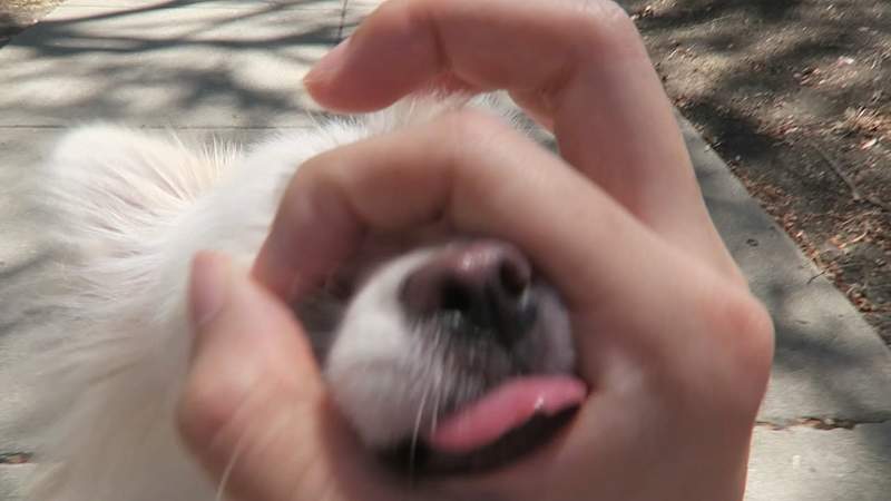 圖片3 圖片3