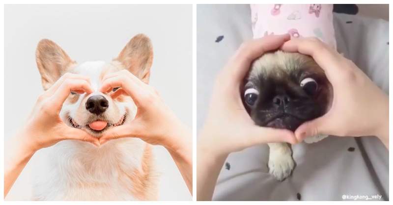 圖片1 圖片1