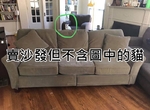 怪奇商行真的有《珍奇商品拍賣》什麼都有什麼都不奇怪是真的w 怪奇商行真的有《珍奇商品拍賣》什麼都有什麼都不奇怪是真的w