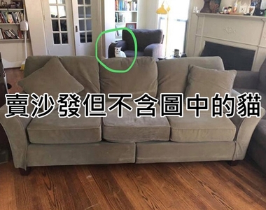 怪奇商行真的有《珍奇商品拍賣》什麼都有什麼都不奇怪是真的w