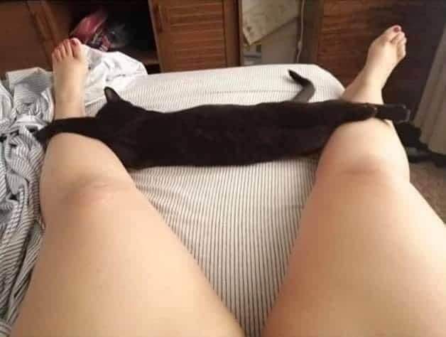圖片2 圖片2