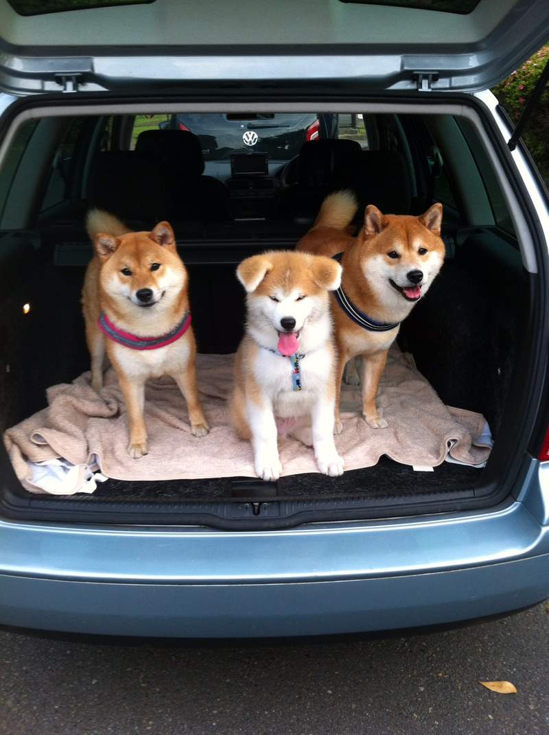 圖片2 圖片2