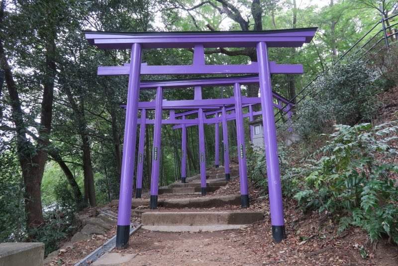 圖片9 珍奇《藍色鳥居》原來鳥居不只有朱紅色,還有這些顏色鳥居存在日本各地... | 宅宅新聞