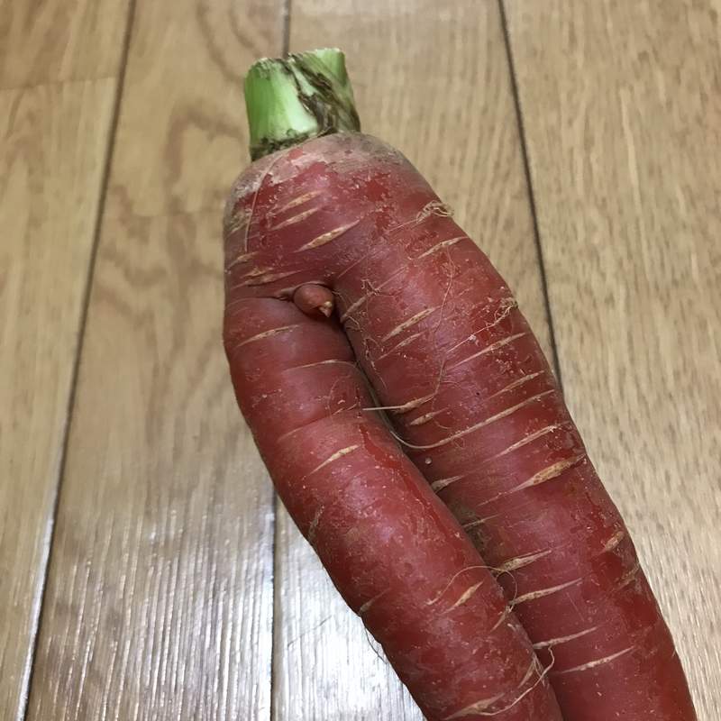圖片16 自帶巨根的《奇形大根》完全男體的下半身構造,料理過程看得男人都痛痛...ww | 宅宅新聞