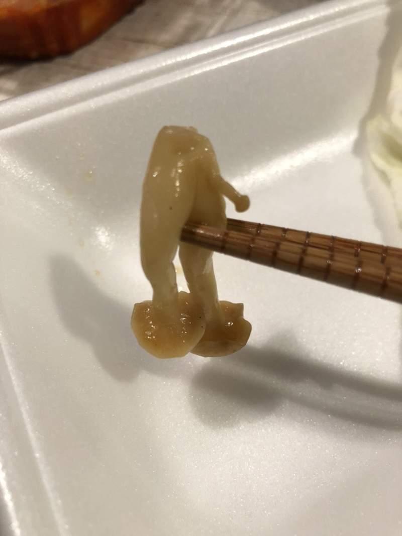 圖片19 自帶巨根的《奇形大根》完全男體的下半身構造,料理過程看得男人都痛痛...ww | 宅宅新聞