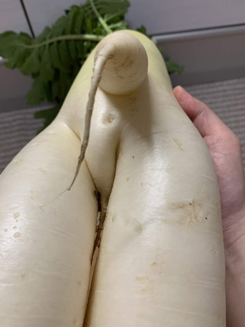 圖片5 自帶巨根的《奇形大根》完全男體的下半身構造,料理過程看得男人都痛痛...ww | 宅宅新聞