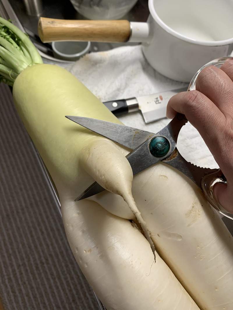 圖片7 自帶巨根的《奇形大根》完全男體的下半身構造,料理過程看得男人都痛痛...ww | 宅宅新聞