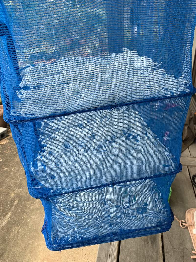 圖片10 自帶巨根的《奇形大根》完全男體的下半身構造,料理過程看得男人都痛痛...ww | 宅宅新聞