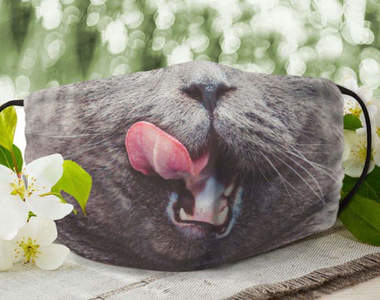 搞笑防疫《國外網友製作的貓口罩》戴上它心情肯定能保持輕鬆愉快