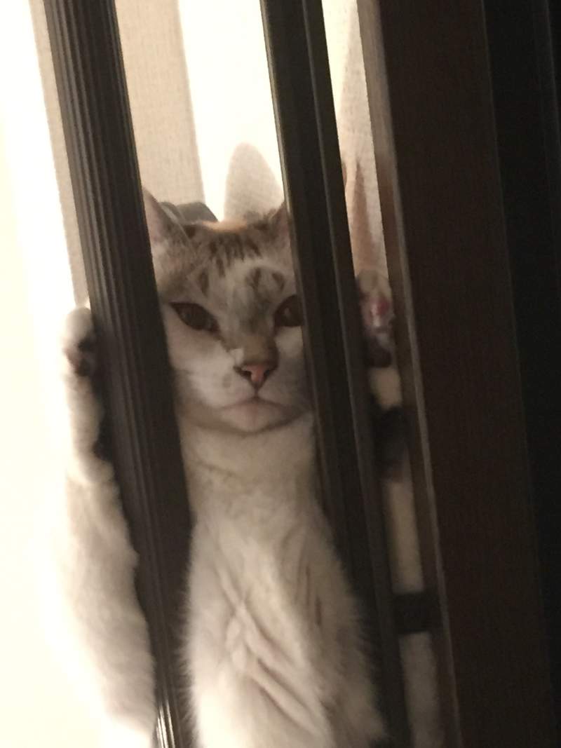 圖片2 圖片2