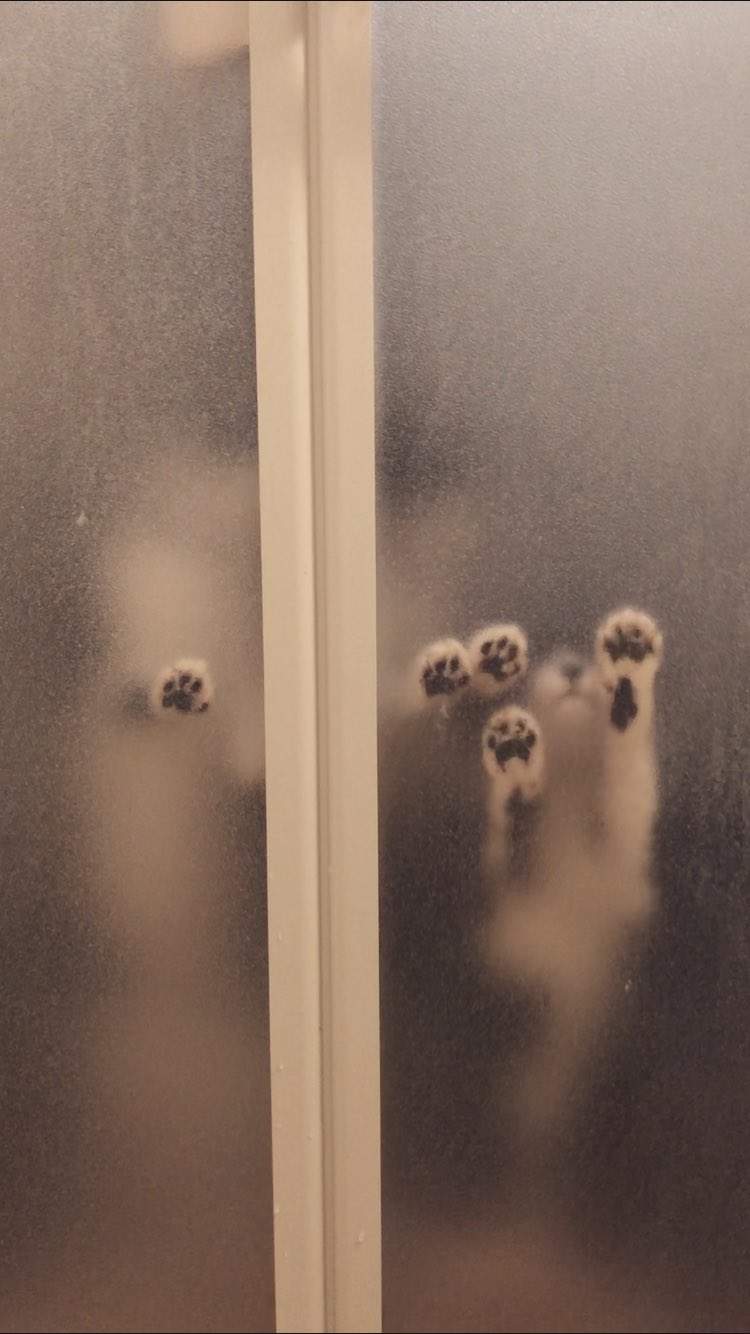 圖片2 圖片2
