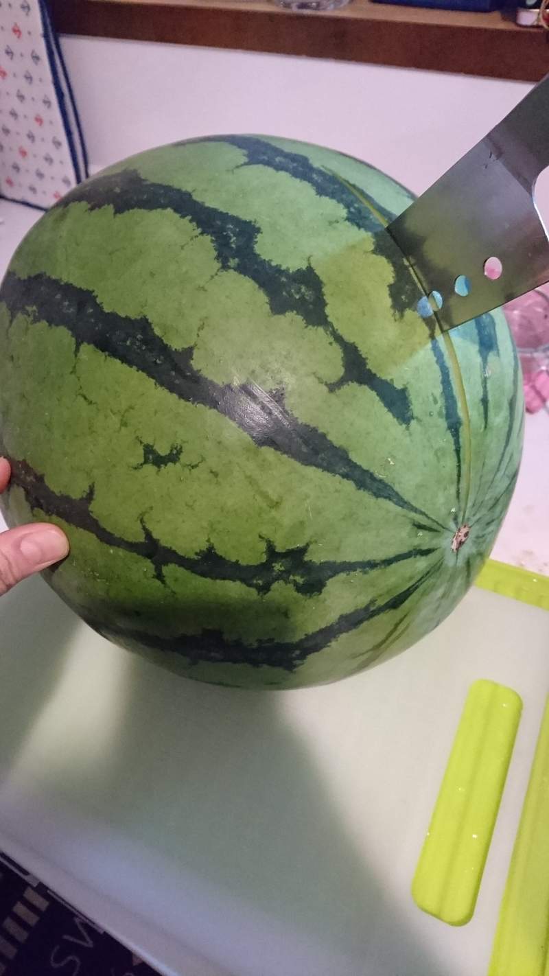 圖片14 推特話題《失敗料理大賽》當料理之神放棄你時,連切個西瓜都可能失敗...ww | 宅宅新聞
