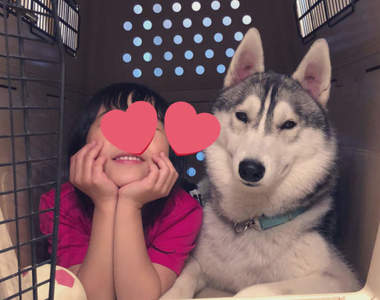 狗籠一起睡《感情超好的幼稚園兒與哈士奇》地盤被強佔也溫柔包容的狗狗表情❤