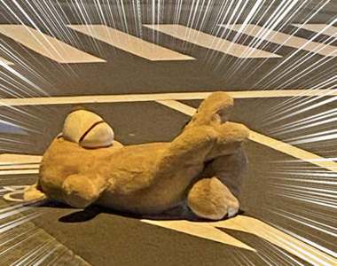 《路上撿到巨型玩偶熊》善心夫妻安置＂走失大熊＂經過引發推特瘋傳