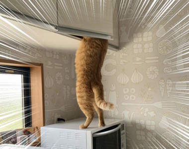 《貓的犯罪現場》人類自以為安全的地方，輕輕鬆鬆就被貓小偷破解ww