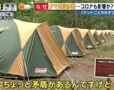 《露營新手常犯的錯誤》野熊入侵露營區襲擊露營客 將食物留在帳篷裡面簡直不要命