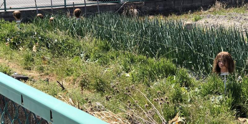 圖片7 田邊驚見《貓的稻草人》一踏進這村落就會被變成貓頭稻草人的構圖(⊙_⊙) | 宅宅新聞