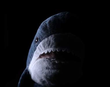 《拍出IKEA鯊魚的恐怖面》肺炎疫情無法外出而誕生的新拍法，或許將引爆推特流行？