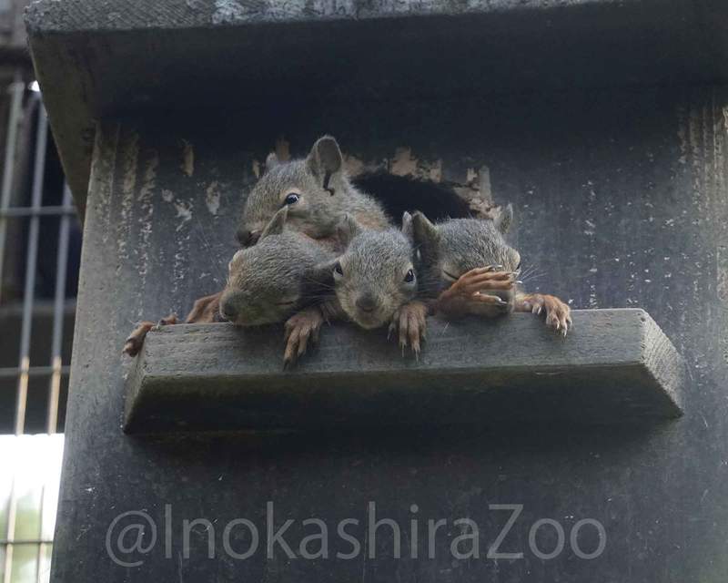 圖片2 圖片2