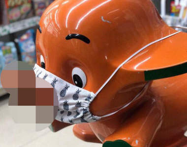 防疫新鮮事《大象怎麼戴口罩》走過路過讓網友感到驚訝的光景