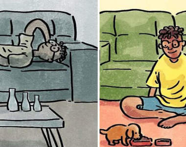 用圖片說故事《養不養狗的生活差異》藝術家成功的把兩種生活型態給表現出來