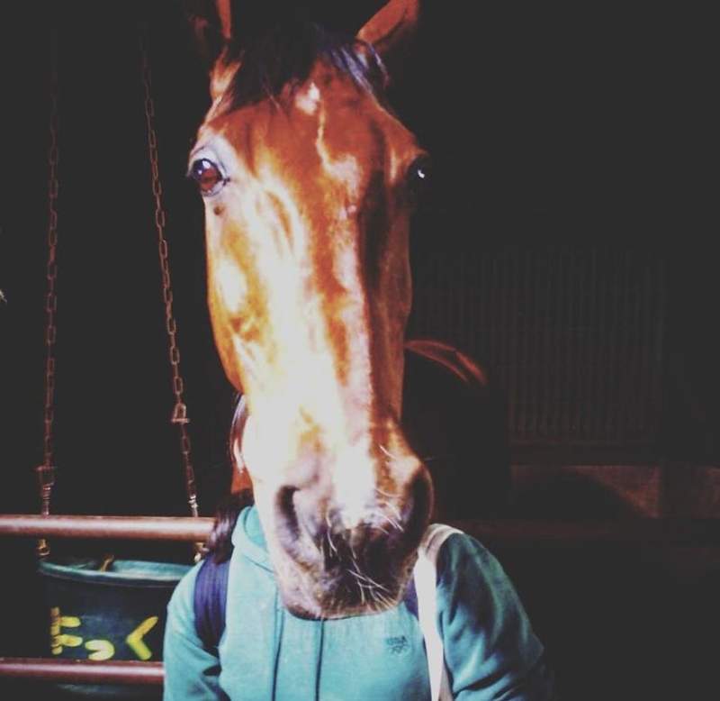圖片4 奇蹟一瞬間《老婆拍到老公變馬臉》比馬頭面具更真實的馬面人生就此展開...(誤) | 宅宅新聞