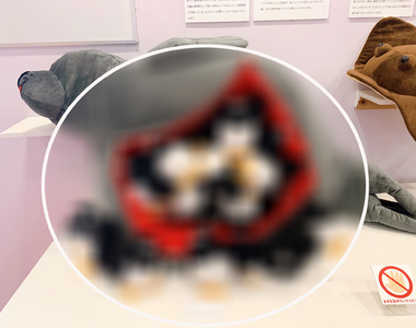 世界惡臭食物《醃海雀》博物館裡海雀塞滿海豹肚子發酵的展示方式引發推特瘋傳