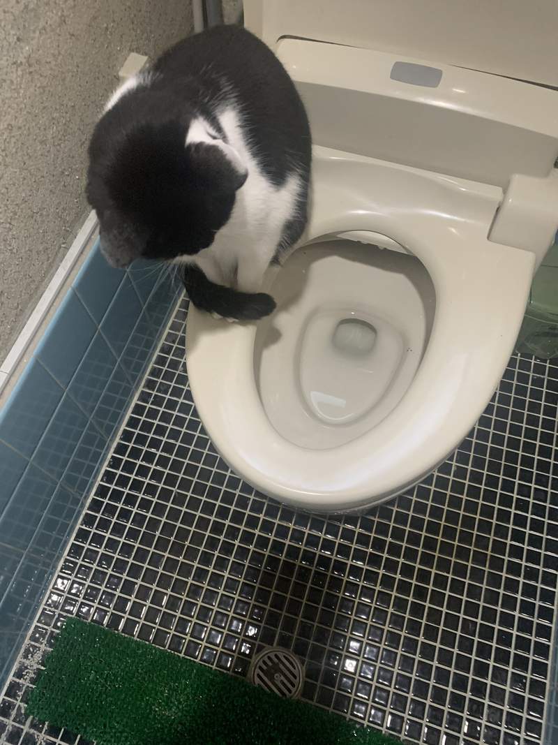 圖片3 圖片3